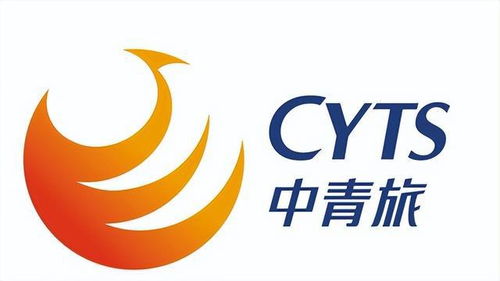 想旅游的进 中安旅行社护照录入系统,为国内外旅游焕发新活力