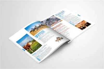 新景界旅行社：开启旅行新体验