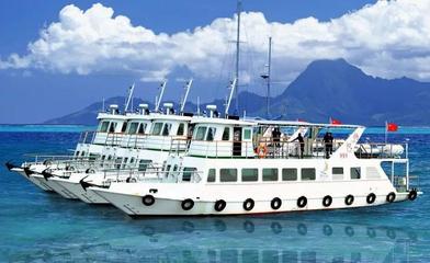 探索北海渔家乐 租渔船出海捕鱼的乐趣与指南