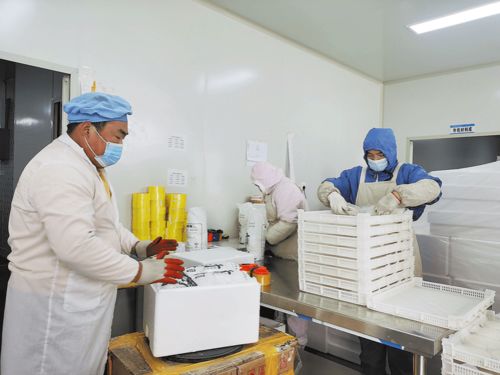 开足马力冲刺“开门红”，旅行社迎来新春旅游热潮